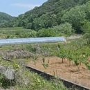 포남공인중개사사무소 이미지