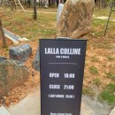 콜린(colline) 네이버블로그