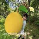 수원-0714 네이버블로그