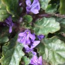 금창초등학교 이미지