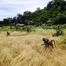 귀로 듣는 여행 이야기 팟캐스트 "여행 라디오" -게으른 여행자의 아프리카여행 1부 마다가스카르 이미지