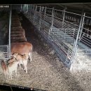 솔바우농장 이미지