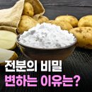 전분의 비밀, 어떻게 변화하는 걸까? 이미지