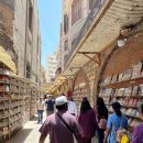 버킷 랩소디(Bucket Rhapsody) | Viva] 노르웨지안 크루즈 라인 '비바'호 크루즈여행 후기 - (9) 이집트 알렉산드리아 &amp; 카이로 기항지 여행