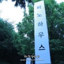 비노하우스더포레스트