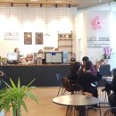 울산광역시청 1별관 이미지