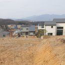 나무와 숲 어린이집 이미지