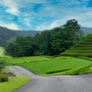 에이치원 이미지