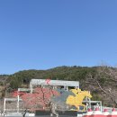 경마장오리집 | [부산 렛츠런파크] 부산 근교 아이랑 가기 좋은 곳, 무료입장 꿀팁