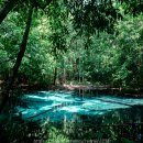 국제W 성인게임랜드 | 끄라비 블루풀 가는 법 에메랄드풀 투어 후기