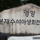 선바위(분재전시관) 이미지