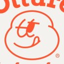 독핏코리아 이미지