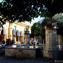 오렌지정원 이미지