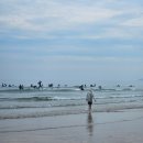 비에이치씨 (BHC) 치킨 만리포점 | 서해안 가족여행 추천! 만리포해수욕장 튜브·서핑·아이랑 게잡기까지 총정리 🏖️