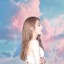Se.A(세아)