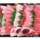 회친구참치 이미지