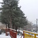 백운힐링밸리 이미지