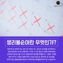 테라화성 이미지