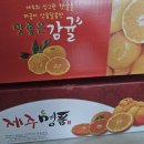 영희농수산 - 서귀포시 대포중앙로72번길 2-7 | 영희농수산
