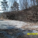 사과나무부동산중개사무소 이미지