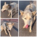 선산대로10-18 이미지