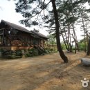 솔방울 펜션 티스토리
