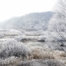 장5교 이미지