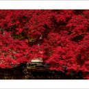 마곡사4 이미지