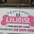 나니이모 이미지