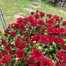 선류산장 이미지