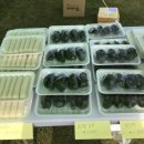 파란마을영농조합법인 이미지