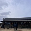 뽑기로드 | 제주 구좌 당근 맛집 : 소농로드 (feat. 당근 뽑기 🥕)