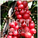 장생농장 이미지