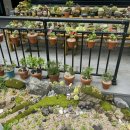 팔공펜션 1945 이미지