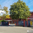 카매니지먼트 | 온 동네가 페라리 그 자체, 이탈리아 마라넬로 쇼핑, 즐길거리, 볼거리, 먹거리 이것저것 추천