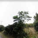 성읍리-6 이미지