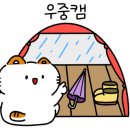 몽산포힐링캠핑장 이미지