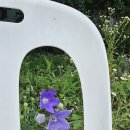 (사)사랑의손길새소망 쿨투라
