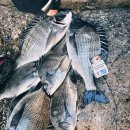 물돌이민박 이미지