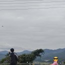 산청 동의보감 캠핑장 내돈내산 이용후기