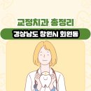 손경준치과의원 | 경상남도 창원시 회원동 교정치과 총정리