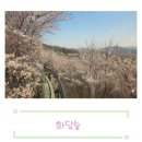 (주)다녀봄 | 4월8일 다녀 온 화담숲, 벚꽃 개화상황🌸