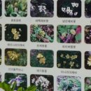 곰배령황토펜션 이미지