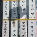 고래빵연구소 | ​[울산] 장생포 코스!! 네번째 장생포마을, 라벤더 수국 만발 (고래생태체험관ㅡ울산함ㅡ고래박물관ㅡ...