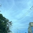 감포바닷가민박펜션 | 경주 감포 스노쿨링 스팟. 송대말등대(주차.스팟.샤워실)