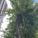 앤엠의원 이미지