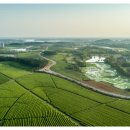 대양부동산중개사무소 이미지