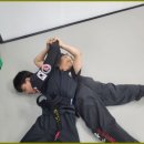 화랑합기도 특공무술 이미지