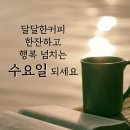 4월 12일(수) 손흥민이 프리미어리그(EPL) 개인 통산 100골과 관련된 이야기 이미지