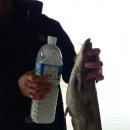 사계지낚시터 이미지